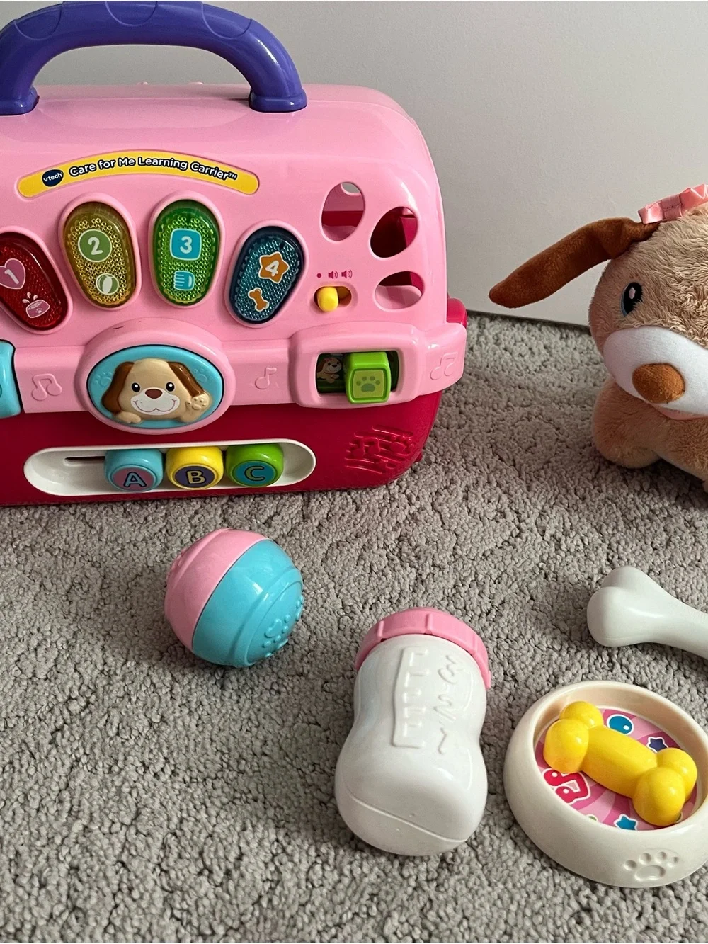 Pink & Purple Interactive Learning Pet Carrier for Kids - Educational Toy